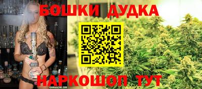 стаф Бузулук